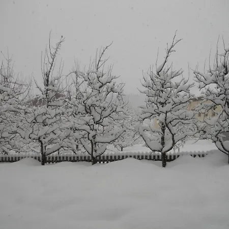 Haus Handle Appartement *