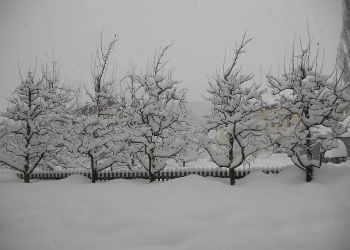 Haus Handle Lejlighed *