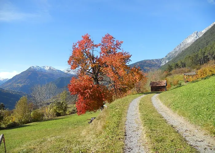 Haus Handle Lejlighed